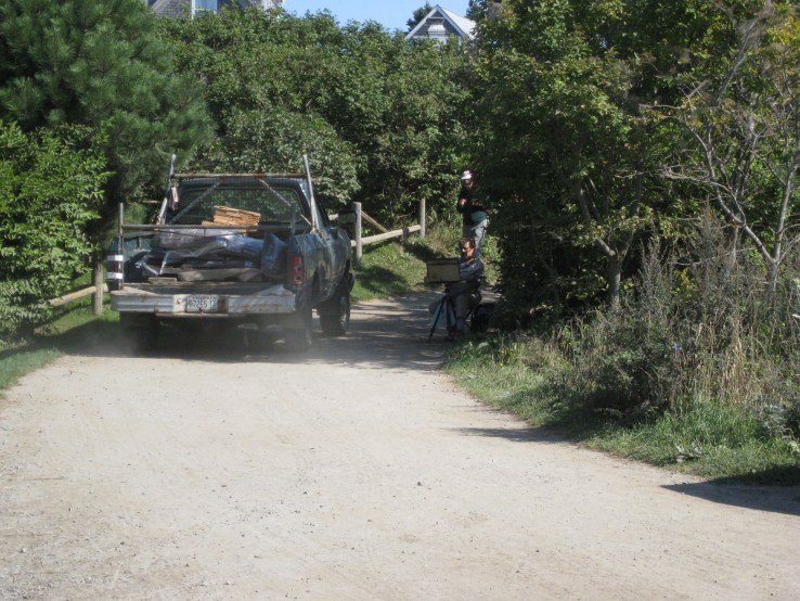 Dust sticks to wet paint