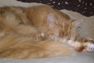 1464807804_308eacfdbb